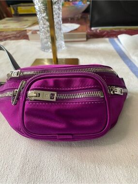 Alexander Wang Attica Mini Fanny Pack